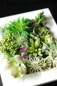 多肉植物アレンジ